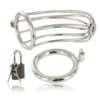 METAL HARD - CAGE DANNEAU DE CHASTETÉ DOISEAU 2(1)