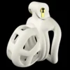 Cage de chasteté pour pénis masculin avec serrure