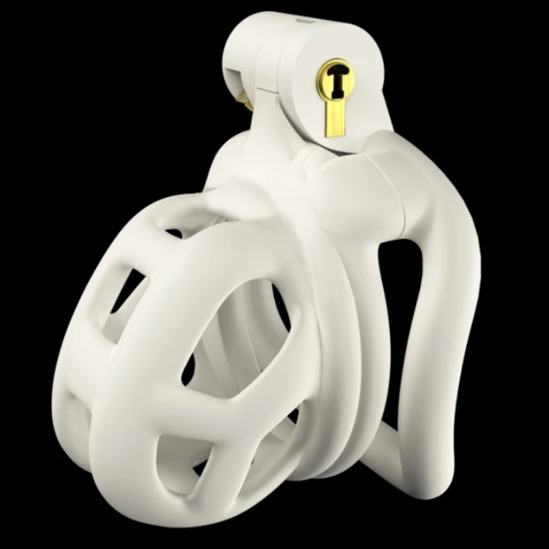 Cage de chasteté pour pénis masculin avec serrure – Image 4