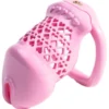 Cage de Chasteté Fivheart 8 x 3.2 cm Rose Cage de Chasteté Fivheart 8 x 3.2 cm Rose