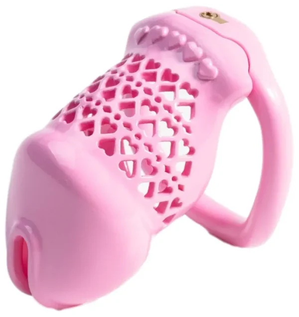 Cage de Chasteté Fivheart 8 x 3.2 cm Rose Cage de Chasteté Fivheart 8 x 3.2 cm Rose