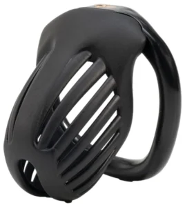 cage de chasteté lineath noire