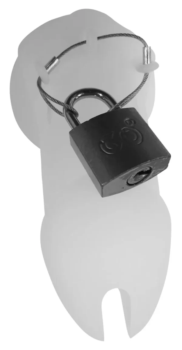 Cage de Chasteté Silicone Bran 9 x 3cm Noire 3